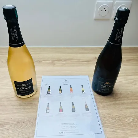 Chic Type 4 / Parking Prive * ריימס