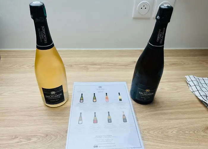 Chic Type 4 / Parking Prive * Reims